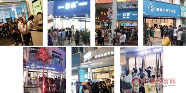 鲜疯水果实验室加盟